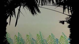 They Might Be Giants - C is for Conifer