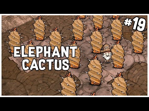 Volcano Surprise & Elephant Cactus Bat Trap | Don't Starve (Woodlegs Series) Gameplay (Part 19)