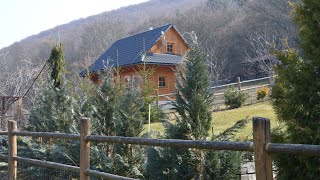 My new forest home ~ Slovakian Carpathian Mountains