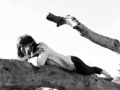 Feist - Cicadas and gulls