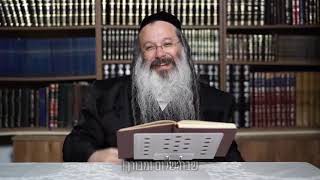 והשיב לב אבות על בנים - מסר חינוכי לשבת פרשת שלח