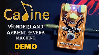 Video thumbnail for CALINE WONDERLAND AMBIENT REVERB MACHINE DEMO by Jettison Tee