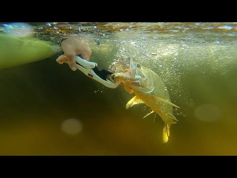 CRAZY How I Caught This Fish!!! Exploring Key Largo - Florida Keys Episode 3