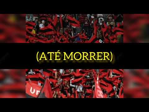 nova música da torcida do Flamengo 2023