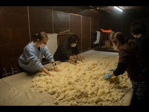 歴史ある三芳菊酒造で日本酒造りのお手伝い！