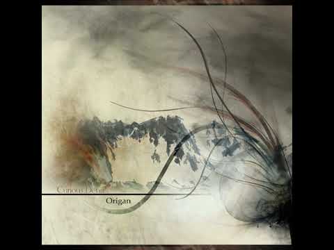 02 Curious Detail - Bird of Prey