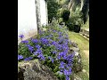 Будни Многодеточки - это проект, всё обман. Кто за это платит?