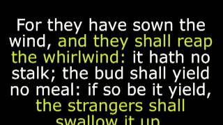 and they shall reap the whirlwind: ...  if so be it yield, the strangers shall swallow it up.