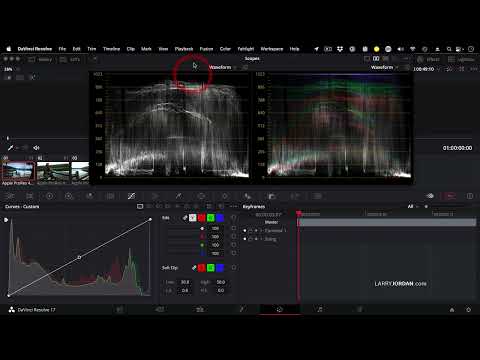 Access & Customize the Video Scopes in DaVinci Resolve 17