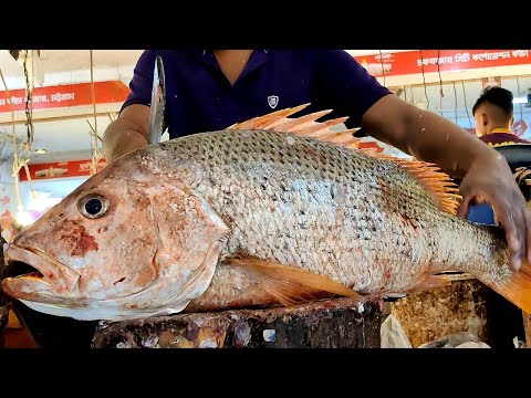 Amazing Big Emperor Fish Cutting By Expert Fish Cutter | Fish Cutting Skills
