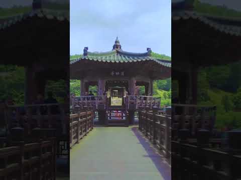 2025 안동 관광 숏폼 공모전 입선 미리보기 사진