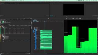 Five One Audio in Premiere Pro CC 2015