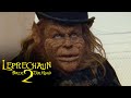 What D You Say About Me Mother Leprechaun Back 2 Tha Hood