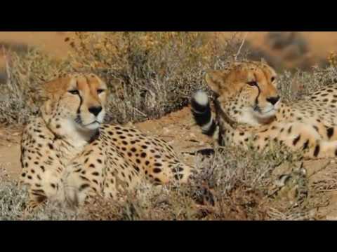 Gr 11 Geografie Die Karoo - Herna Meyer