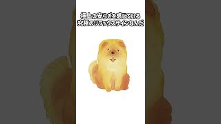 犬が今の暮らしに幸せを感じている行動