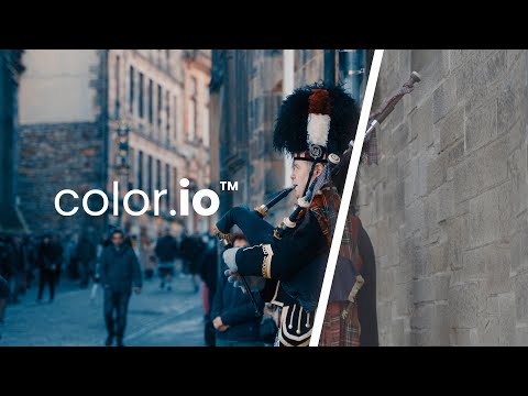 Color.io - Review and Tutorial