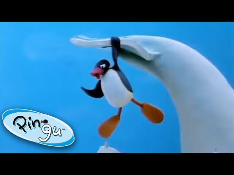 Pingu and the Giant Ice Whale! @Pingu β Official Channel Cartoons For Kids - Kids (0-4), Kingdom Kids Zone - Pingu - Official Channel