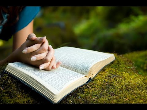 Day 351 - Starting Scripture - a reading of the Bible with Keturah