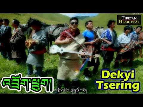Dekyi Tsering - འབྲོག་ཕྲུག། Shepherd's son (in HD finally)