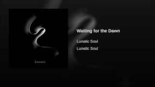 Waiting for the Dawn