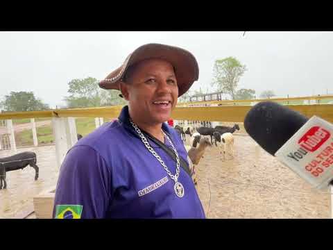 Feira de Ovelhas e Suínos em Senador Rui palmeira - AL 09 - 06 - 2026 #nordeste
