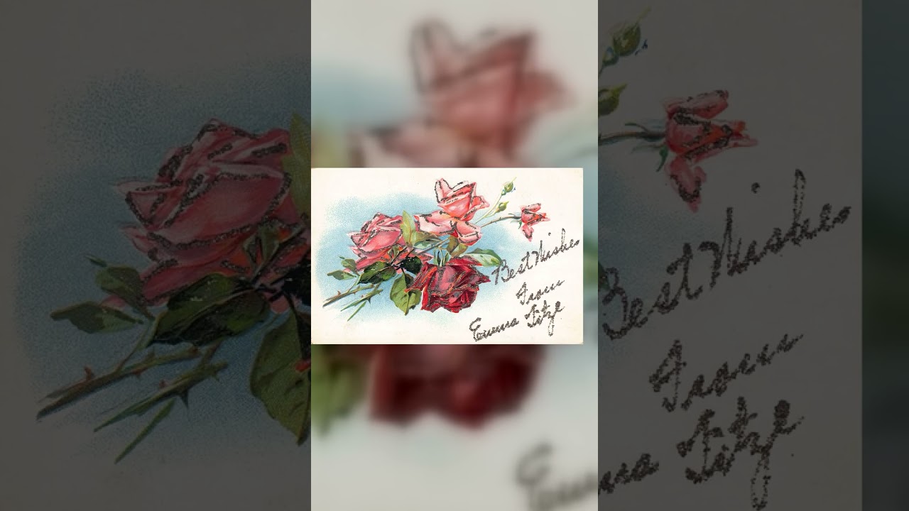 Easter Series, Divided Back Postcard, Roses, 1912 Postmark Video