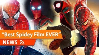 The BEST Spider-Man Film &amp; Version Argument is DUMB