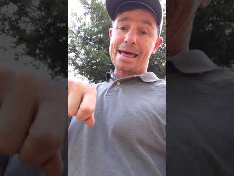 update on the burrow rx