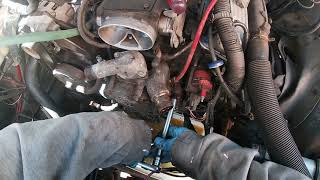 LT1 Water Pump and Optispark Removal Caprice Impala Roadmaster Fleetwood