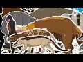 Zoo Stampede 3