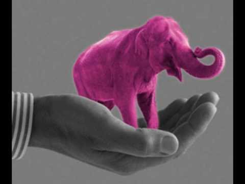 Jaqee  Pink drunken elephant.