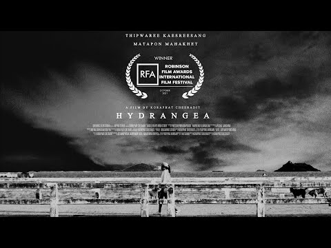 Hydrangea | Short Film