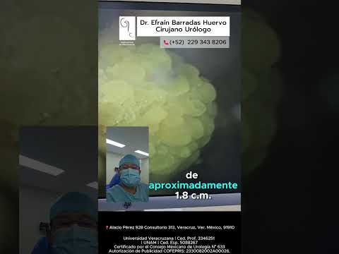 Efrain Barradas Huervo-45