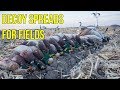 Field Decoy Spreads For Ducks Geese