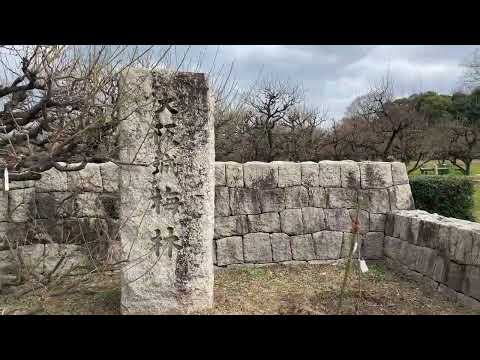 水辺の散策～大阪城梅林～