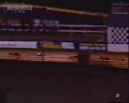 MAXIE RUMBLE WINS THE 2003 WILLIAM HILL CESAREWITCH FINAL