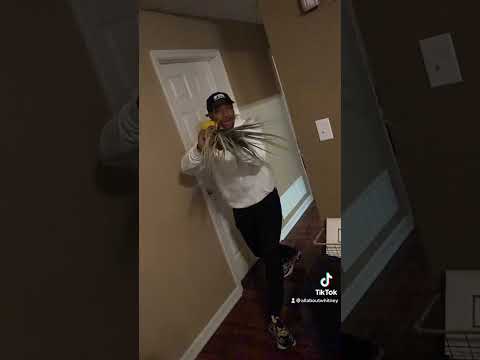 Comedic House Pest Control Skit: A Funny Take on DIY Extermination Methods