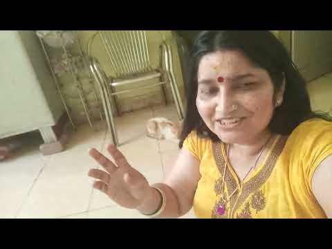 cute cat video | cat lovers | daily vlog