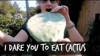 I DARE YOU TO EAT CACTUS