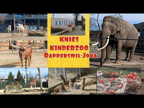 KNIES KINDERZOO, Rapperswil Jona