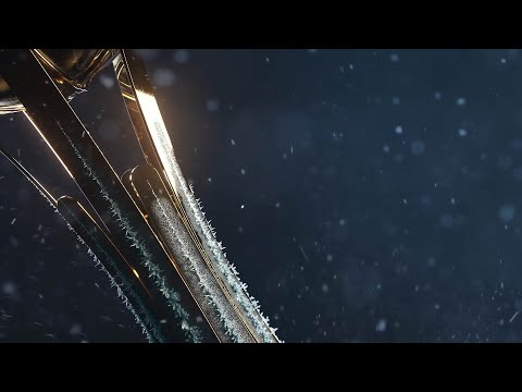 FINAL FOUR OF ALLIANZ CUP Winter Champion 2022