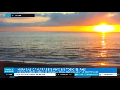 ARGENTINA LIVE 24/7 🌊 Villa Gesell, Pinamar, Comodoro & Patagonia 🇦🇷