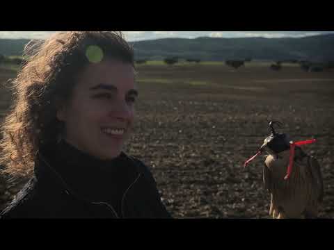 Falcoaria - Património Vivo/ Falconry - Living Heritage