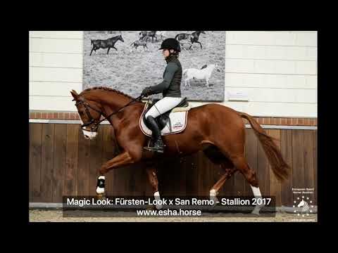 Magic Look: Fürsten-Look x San Remo