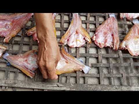 How To Make Dried Fish - Cambodian Recipe.