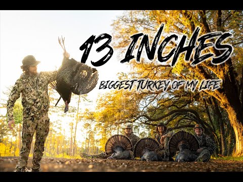 BEAU HUNTING "THE BIGGEST TURKEY OF MY LIFE" NORTH FLORIDA EASTERNS!!!!