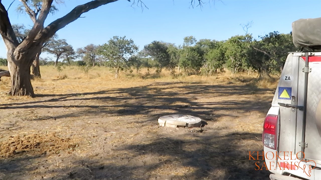 Magotho Camp Khwai Preview