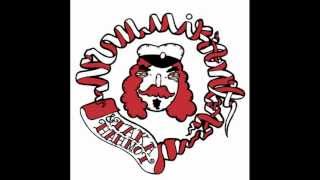 Nummiranta & Takahahmot: Sairaslomaa