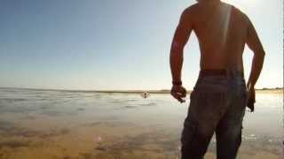 Free Lance Project - The Cynik Overdose