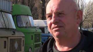 Няма промяна в цените на живите елхи на пазара
